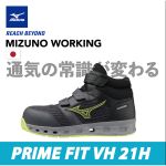 F1GA247409