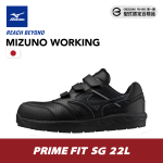 F1GD246109