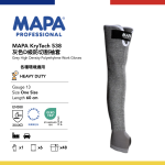 MAPA538